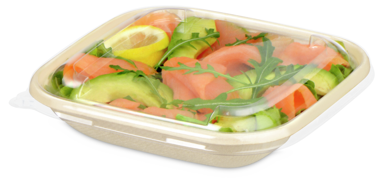 passend zur Schale aus Bagasse quadratisch