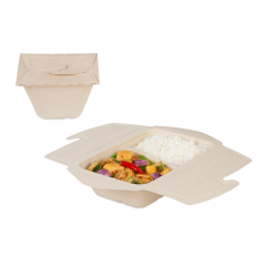 To-Go-Box aus Zellstoff