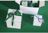 Faltschachtel aus Vollpappe, weiß