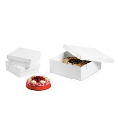 Tortenkarton weiß, 2-teilig