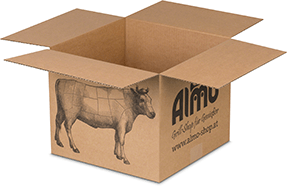 Bedruckter Faltkarton