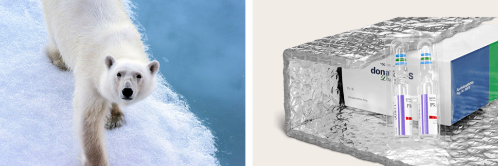 Luft dient dem Eisbär als Isolator