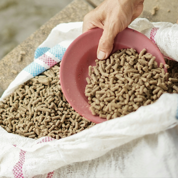 Abfuellen_Schuettgut