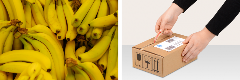 Bananen haben eine natürliche Aufreißhilfe