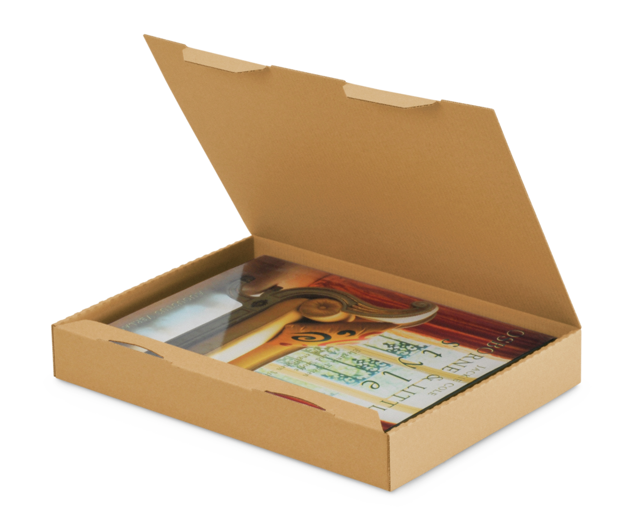 Carton QUICK-BOX® LIGHT avec fermeture par patte