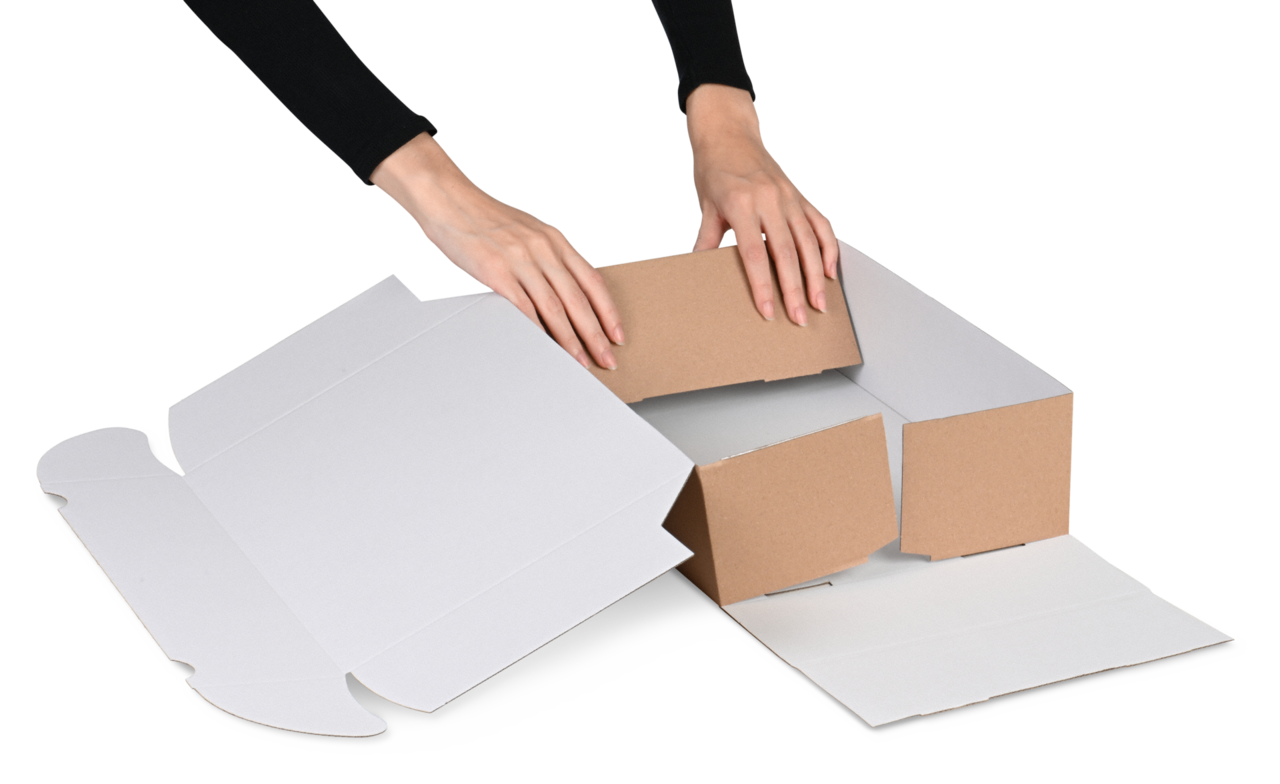 Boîte pliante avec languettes d'insertion, intérieur blanc