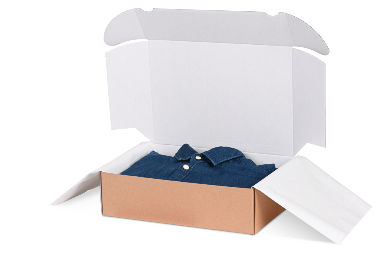 Boîte pliante avec languettes d'insertion, intérieur blanc