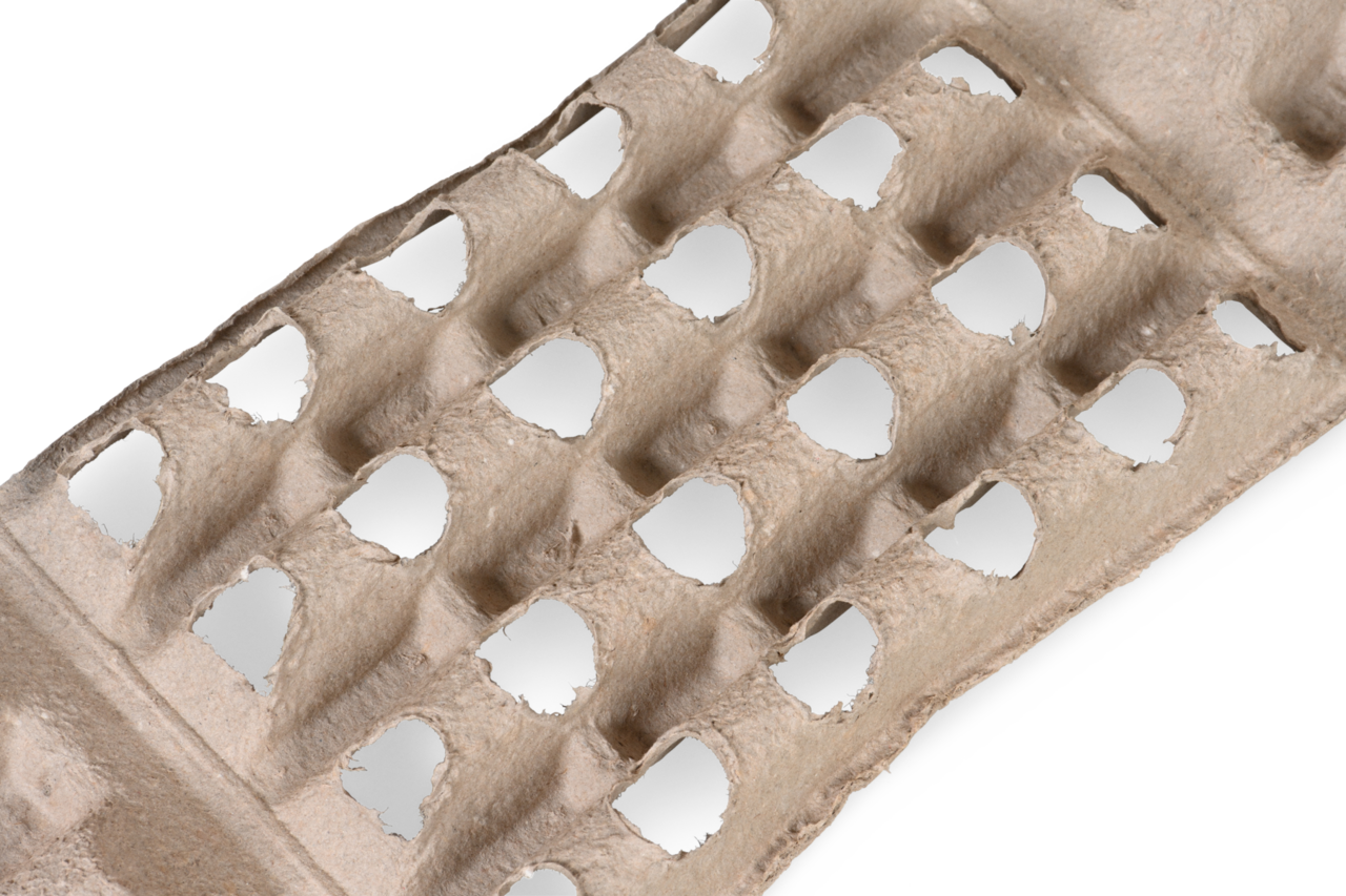 insert écologique en fibre moulée