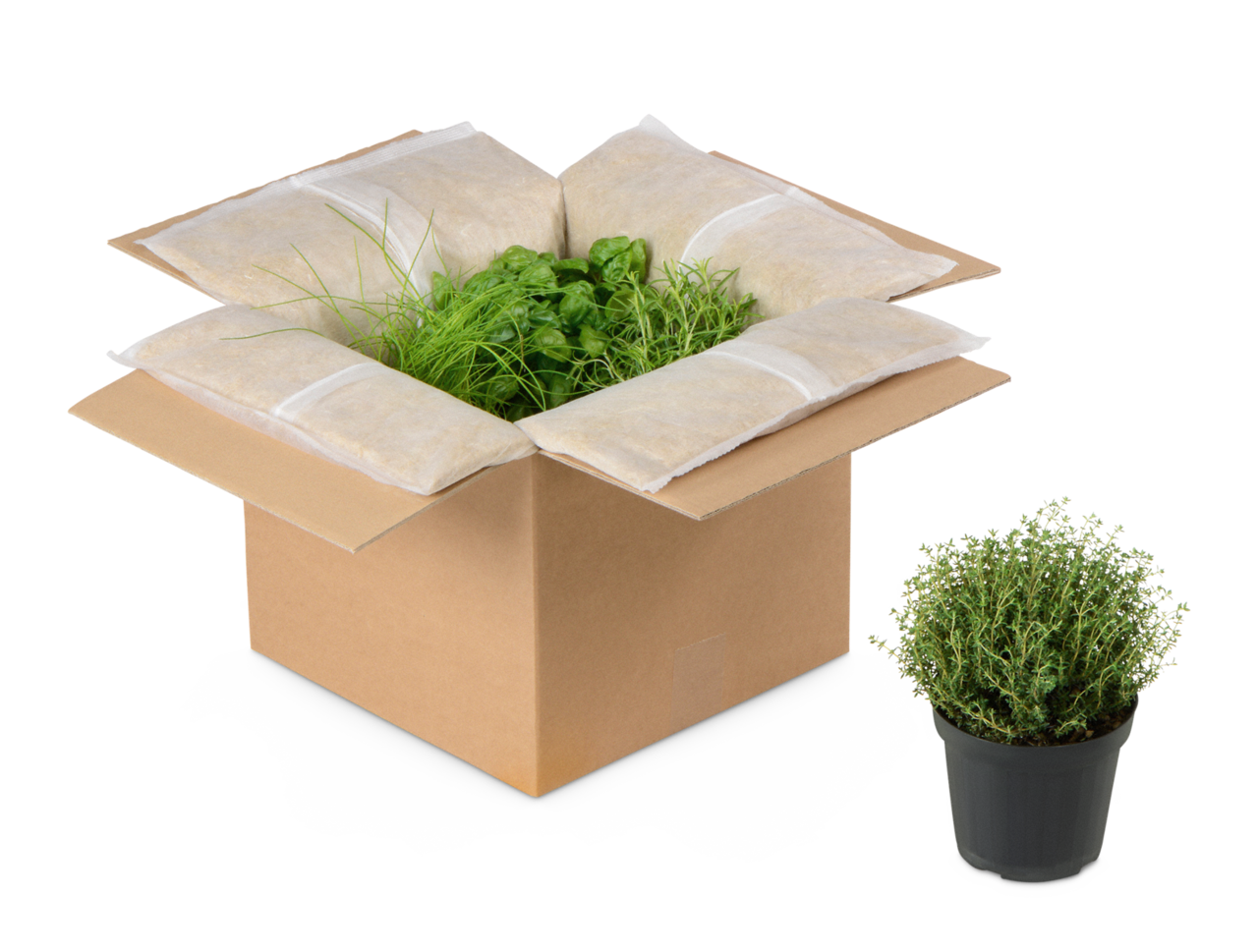 Caisse carton isotherme pliable MECATHERM®  en chanvre 