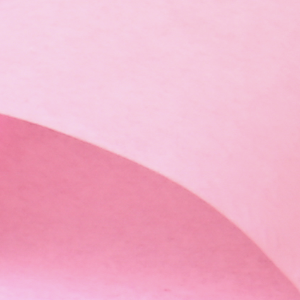 rose
607.028