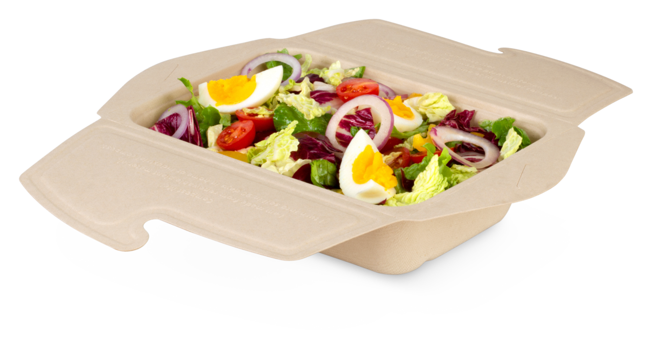 To-Go-Box en cellulose