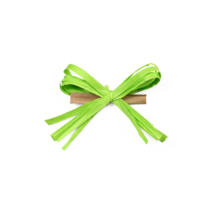 Clip &agrave; noeuds en raphia de coton, vert clair