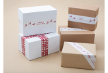 Ruban papier kraft adhésif avec impression