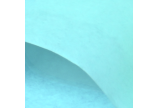 bleu clair
607.029