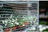 FLEX-NET Filet à enrouler pour machines d’étirage