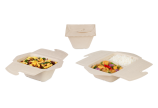 To-Go-Box en cellulose