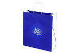 Imprimer sac en papier à poignées torsadées 