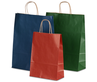 Sac en papier avec poignées torsadées brunes