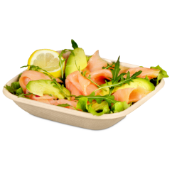 Bol en bagasse rectangulaire