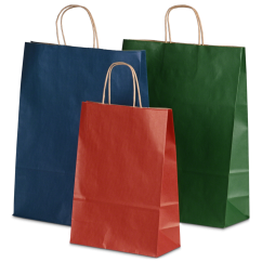 Sac en papier avec poignées torsadées brunes