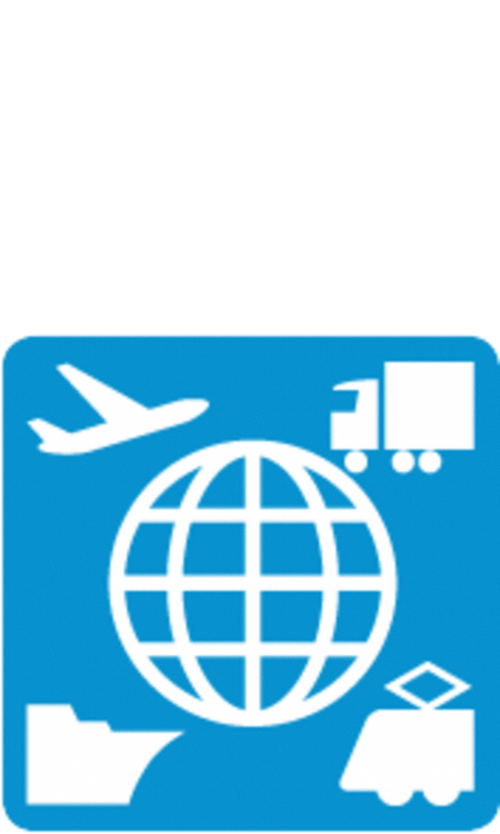 entspricht den weltweiten Einfuhrbestimmungen - für reibungslosen internationalen Transport - ein Ladungsträger für alle Transportarten