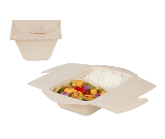 To-Go-Box aus Zellstoff