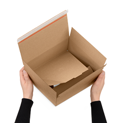 Aufrichteschachteln mit Automatikboden