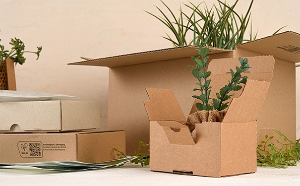 Nachhaltige Versandkartons und Versandschachteln