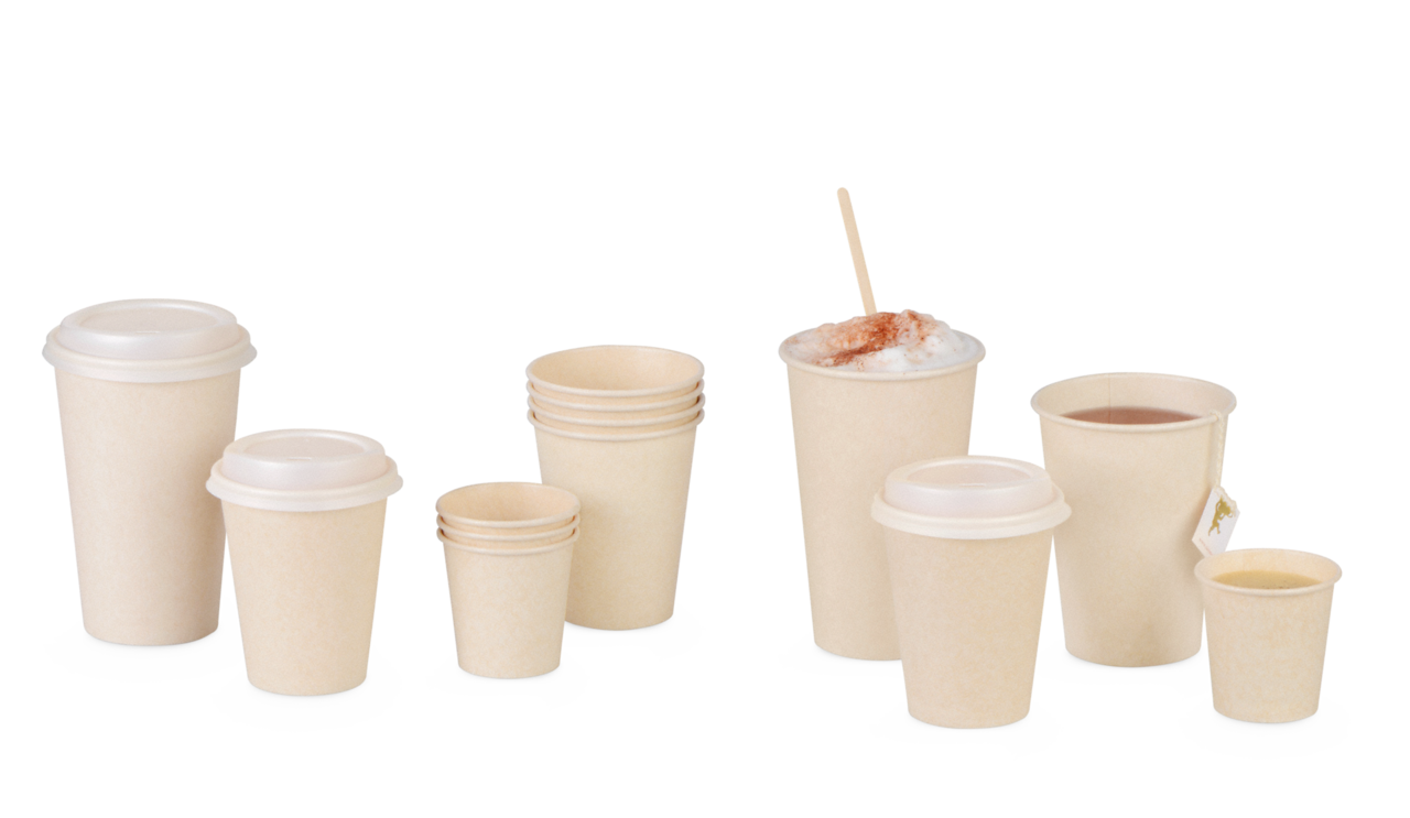 Zuckerrohr Becher SWEET
