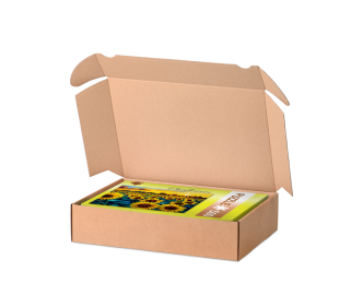 DHL Kleinpaket Karton mit Einstecklaschen