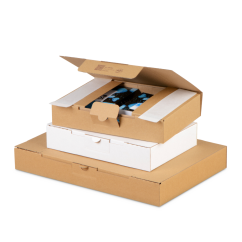 Maxibriefkarton MAXI-POST mit Sicherheitsverschluss