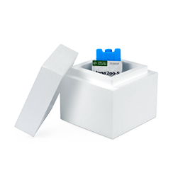 Thermoboxen